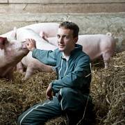 Alexandre et ces cochons bio sur paille -  FERME DU GORRÉ (Bretagne, Finistère)