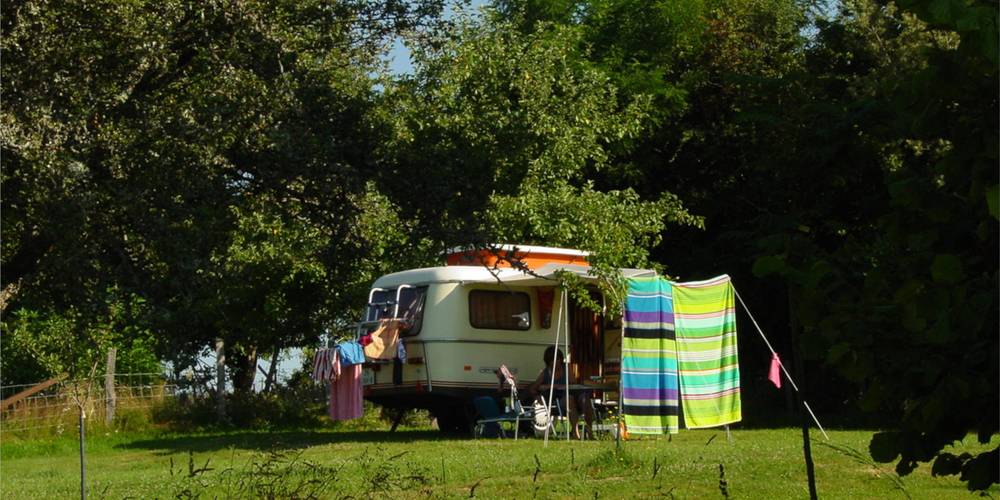 grands emplacements avec de l'hombre -  LA JAURIE (Nouvelle-Aquitaine, Haute-Vienne)