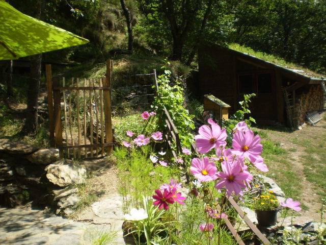  CAMPING EL MANAU (Occitanie, Pyrénées-Orientales)