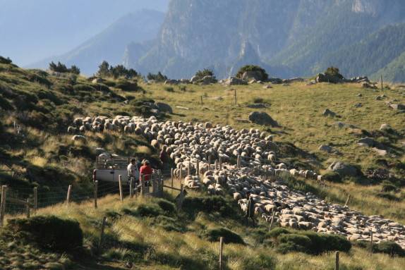  CAMPING EL MANAU (Occitanie, Pyrénées-Orientales)