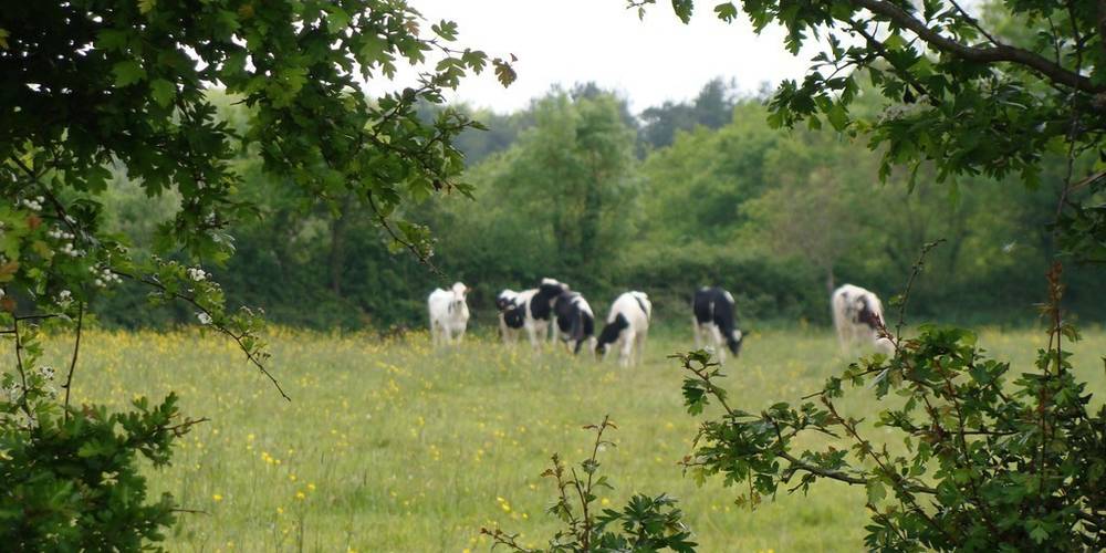  FERME DE SAINT-HUBERT (Pays de la Loire, Loire-Atlantique)
