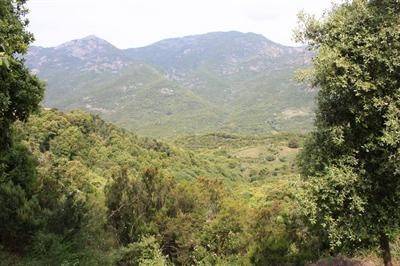  TORRE JEAN-YVES (Corse, Corse)