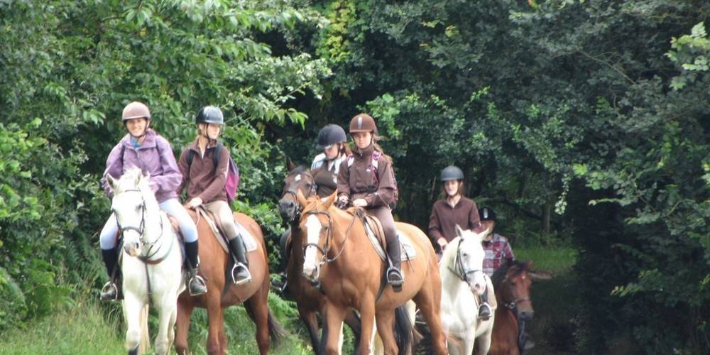  EQUIDÉTENTE (Bretagne, Ille-et-Vilaine)