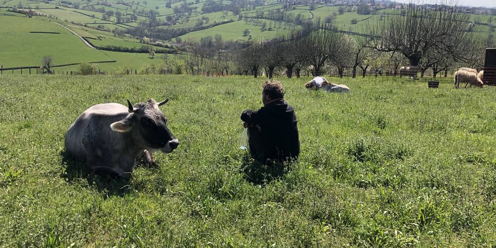  TERRE AMOUREUSE (Bourgogne-Franche-Comté, Saône-et-Loire)