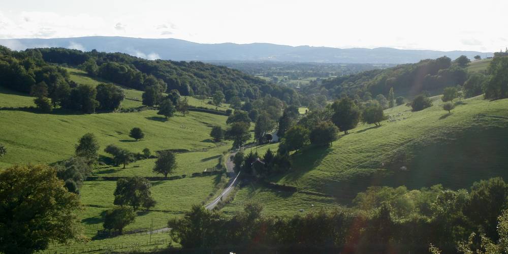  TERRE AMOUREUSE (Bourgogne-Franche-Comté, Saône-et-Loire)