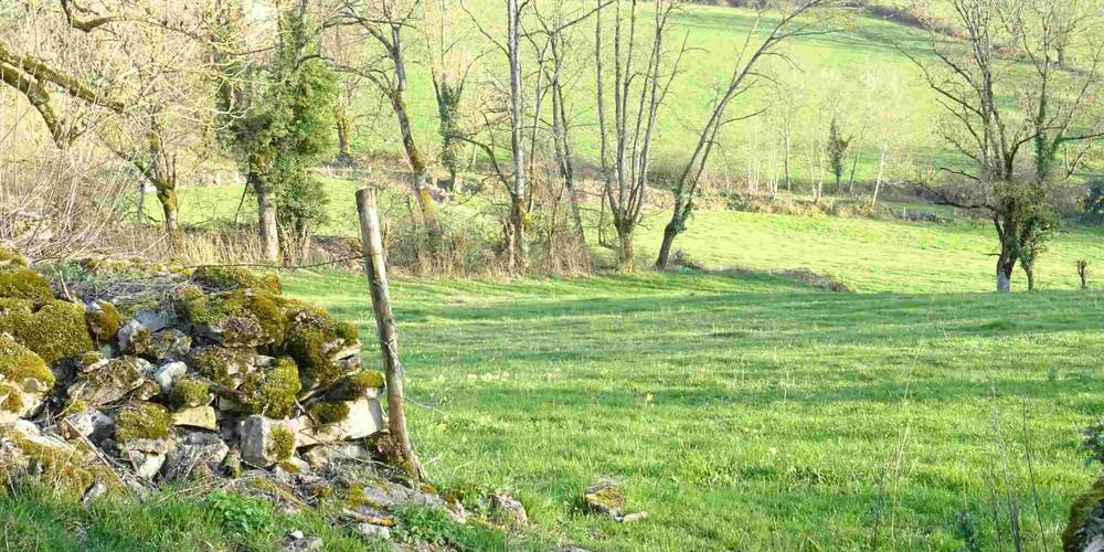 Bonheur d'un jour de printemps -  POUPON HOUSE (Bourgogne-Franche-Comté, Côte-d'Or)